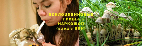 a pvp Арсеньев