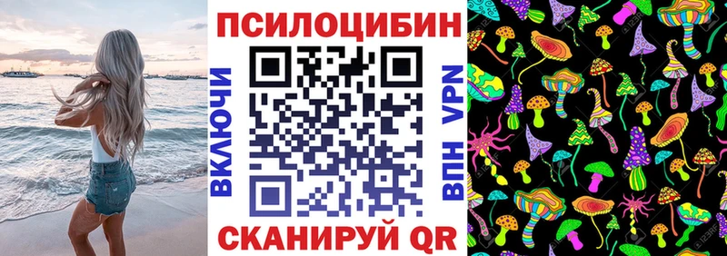 Галлюциногенные грибы Psilocybe  Плавск 