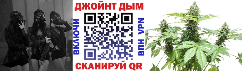 Конопля индика  Плавск 